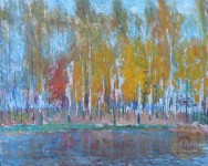 Березы осенью