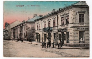 Тернополь,  ул. Мицкевича